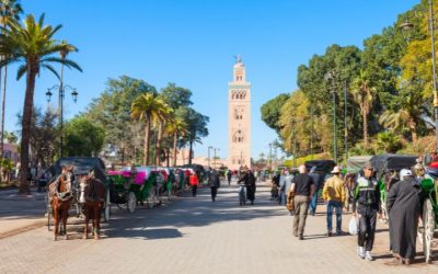 8-Day Morocco Tour from Marrakech to Casablanca